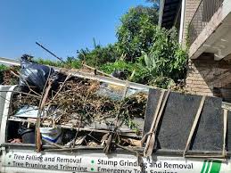 Shed Removal in Bonanza, GA