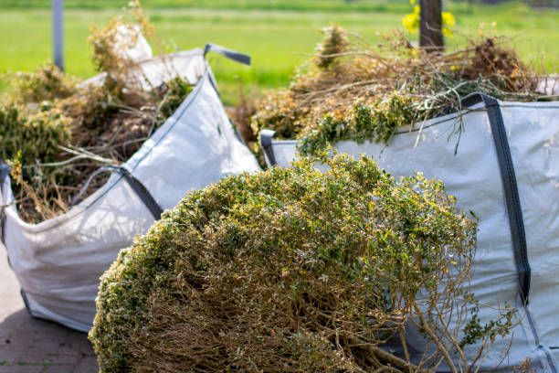 Same-Day Junk Removal Services in Bonanza, GA